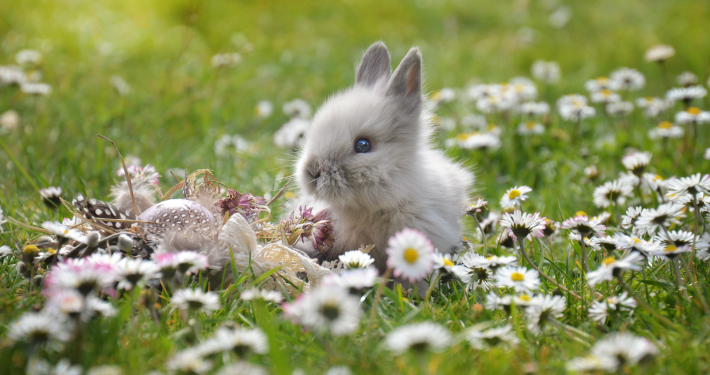 Ostern 2024