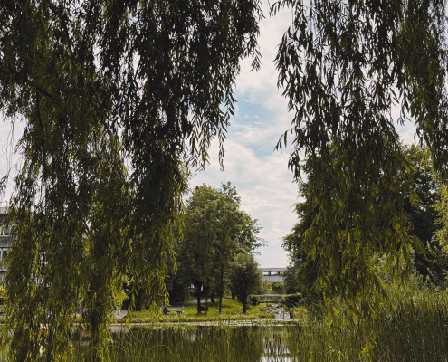 Garten der Universität Augsburg